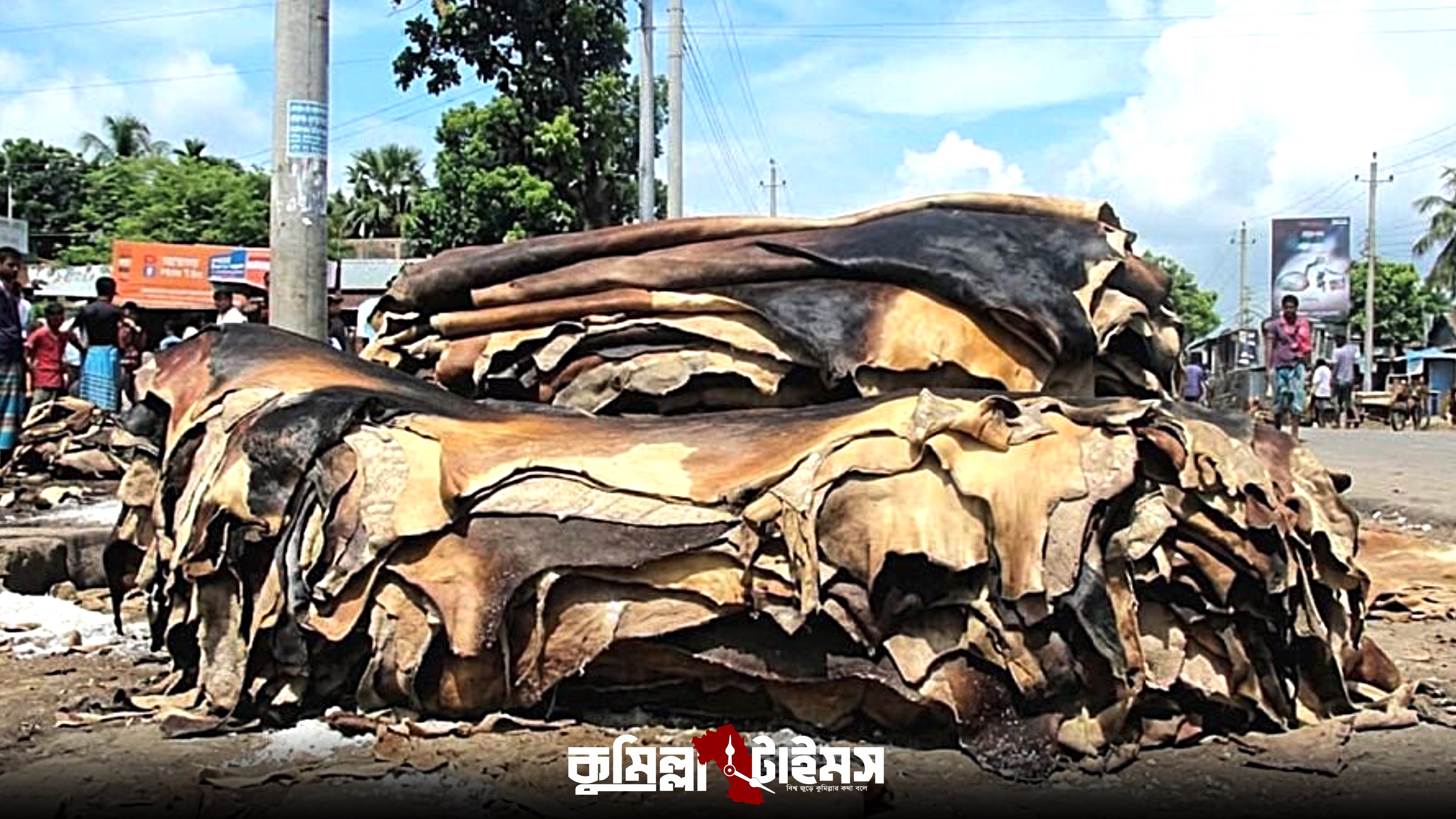 কুমিল্লায় কোরবানির চামড়া কিনে বড় লোকসানের মুখে মৌসুমি ব্যবসায়ীরা