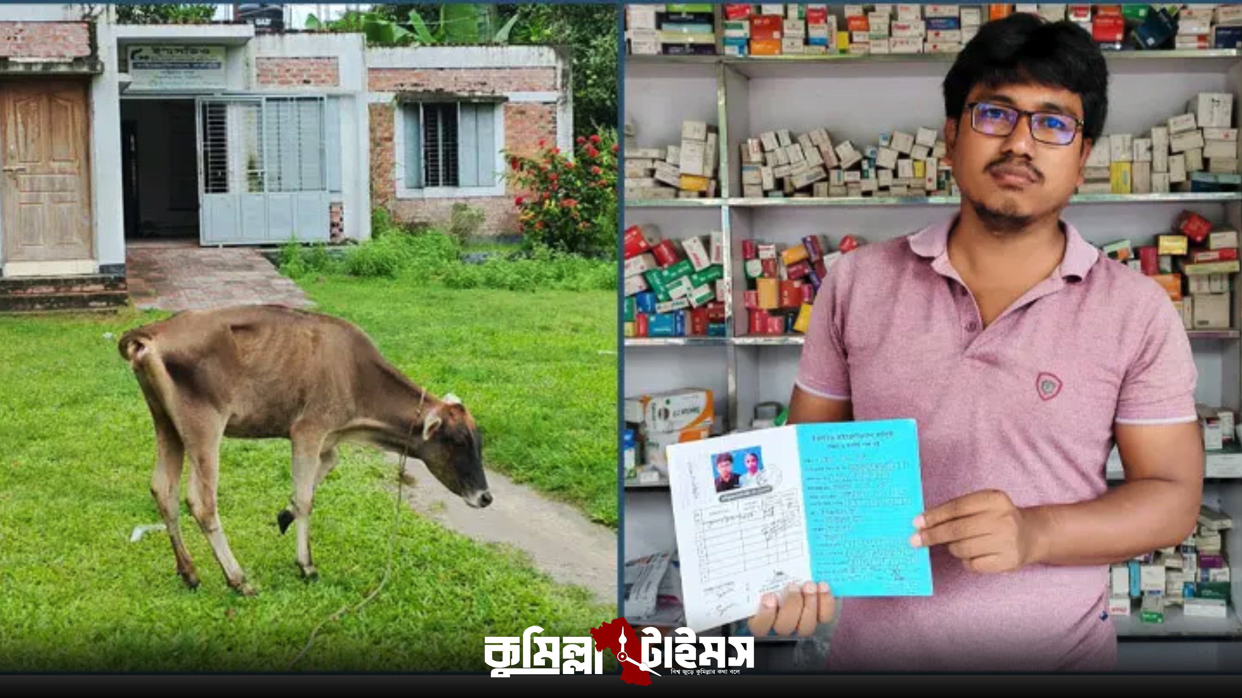 কিস্তির টাকা নিয়ে দ্বন্দ্বে গ্রাহকের গরু নিয়ে গেলেন এনজিও কর্মীরা